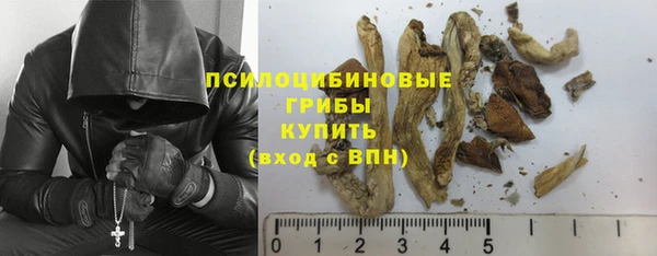 гашик Абдулино
