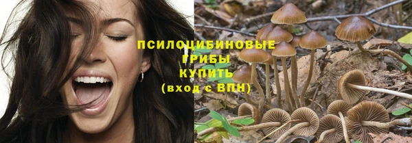 молекула духа Абинск