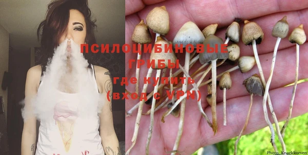 молекула духа Абинск