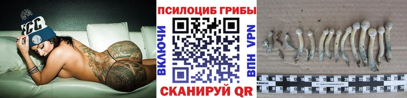 где купить   блэк спрут ссылка  Псилоцибиновые грибы мицелий  Лебедянь 